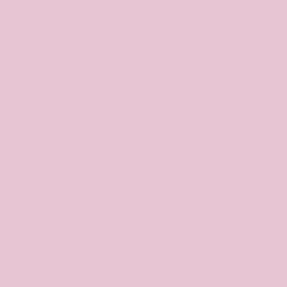 © Bauwerk Colour