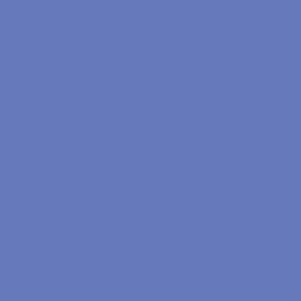 Bote de muestra - Chicory