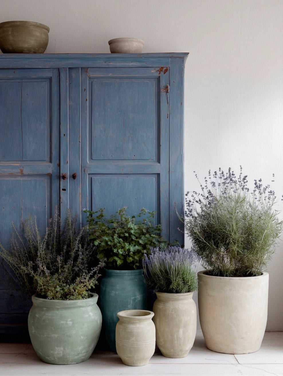 Indoor herb garden in limewashed planters beside a weathered blue cupboard in a country kitchen. | © Bauwerk Imagined, Christoph Neumann