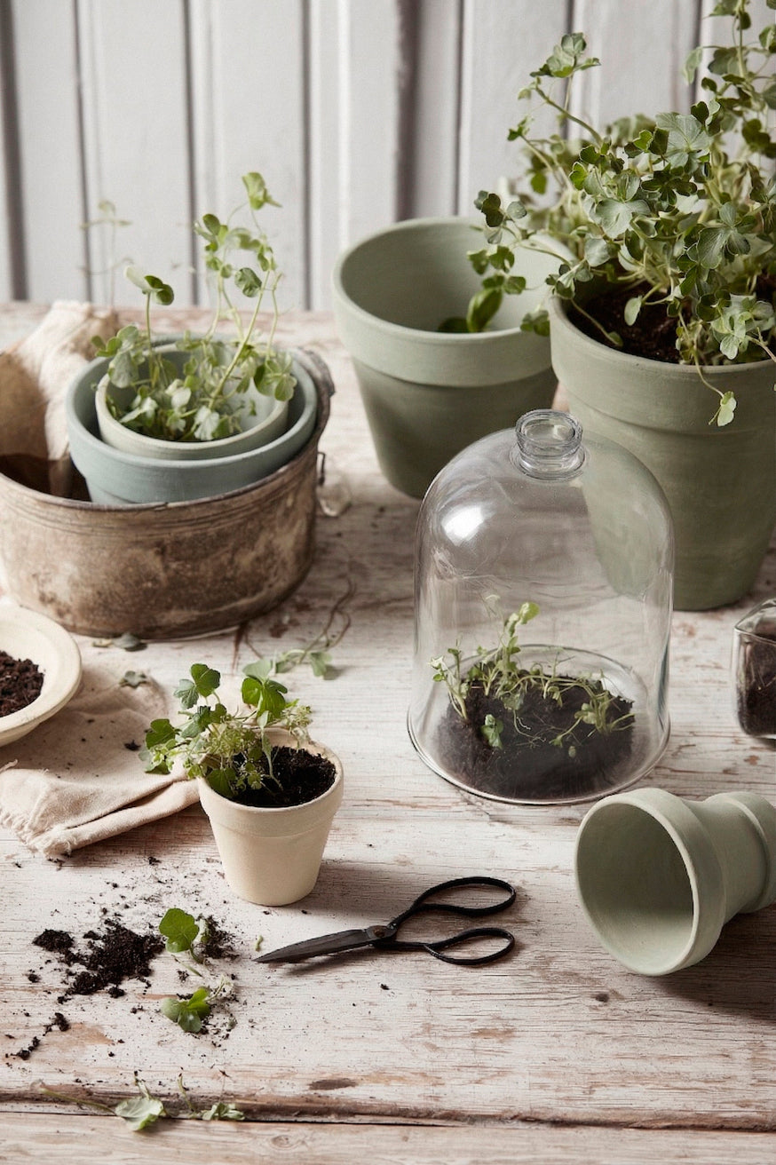 Potting bench with limewashed herb planters ready for indoor or outdoor kitchen gardens. | © Bauwerk Imagined, Christoph Neumann