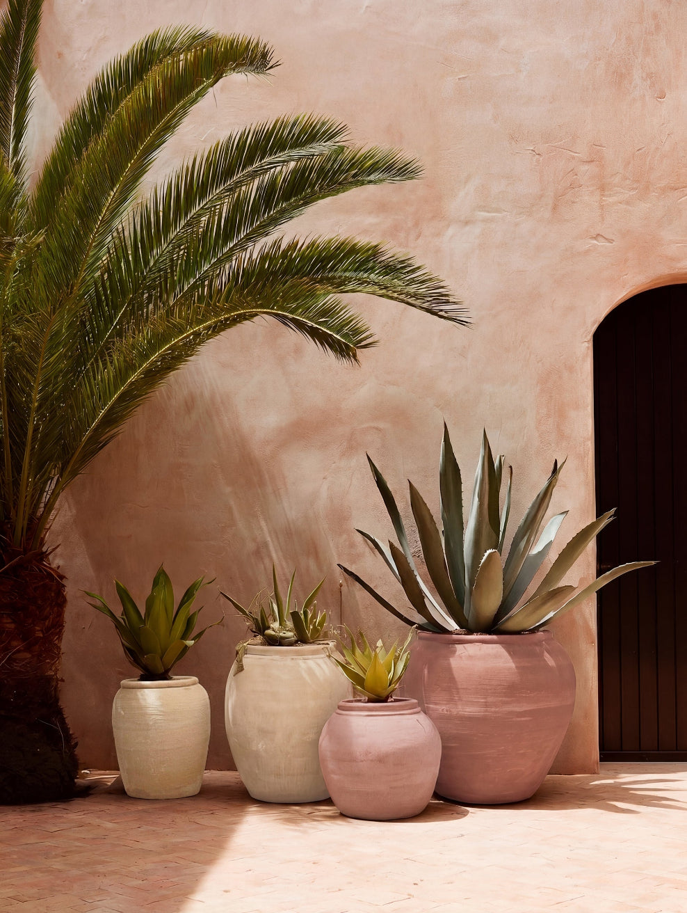 Mediterranean-style courtyard with a large palm and succulents in limewashed garden planters painted in the warm neutral and terracotta tones of the Mediterranean Courtyard collection. | © Bauwerk Imagined, Christoph Neumann