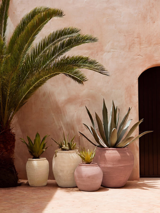 Mediterranean-style courtyard with a large palm and succulents in limewashed garden planters painted in the warm neutral and terracotta tones of the Mediterranean Courtyard collection. | © Bauwerk Imagined, Christoph Neumann