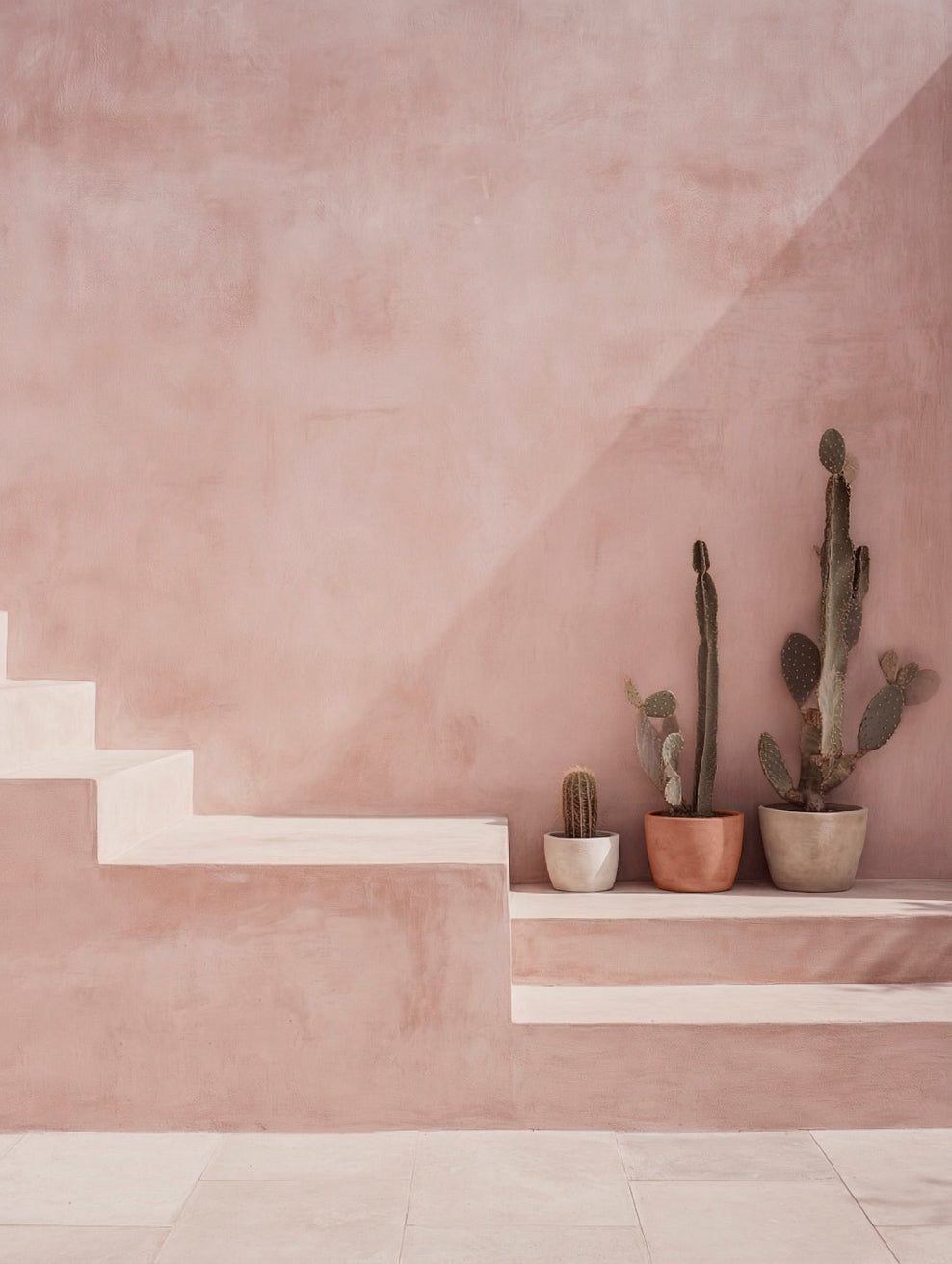 Pink limewashed wall with steps displaying terracotta plant pots filled with cacti and succulents. | © Bauwerk Imagined, Christoph Neumann