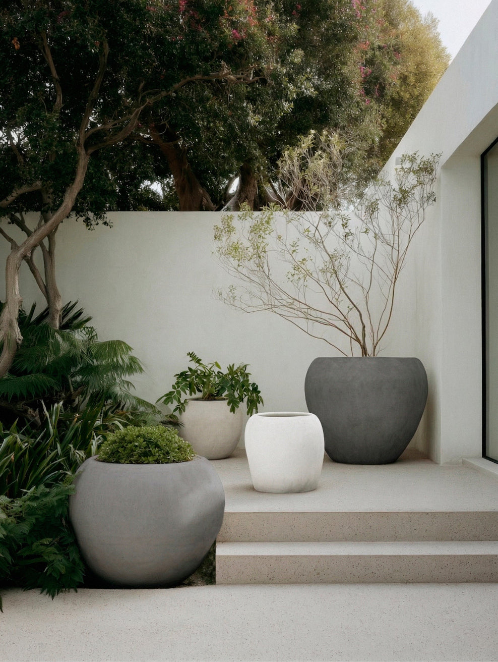 Modern courtyard with oversized monochrome limewashed garden planters creating a sculptural landscape with architectural trees and planting. | © Bauwerk Imagined, Christoph Neumann