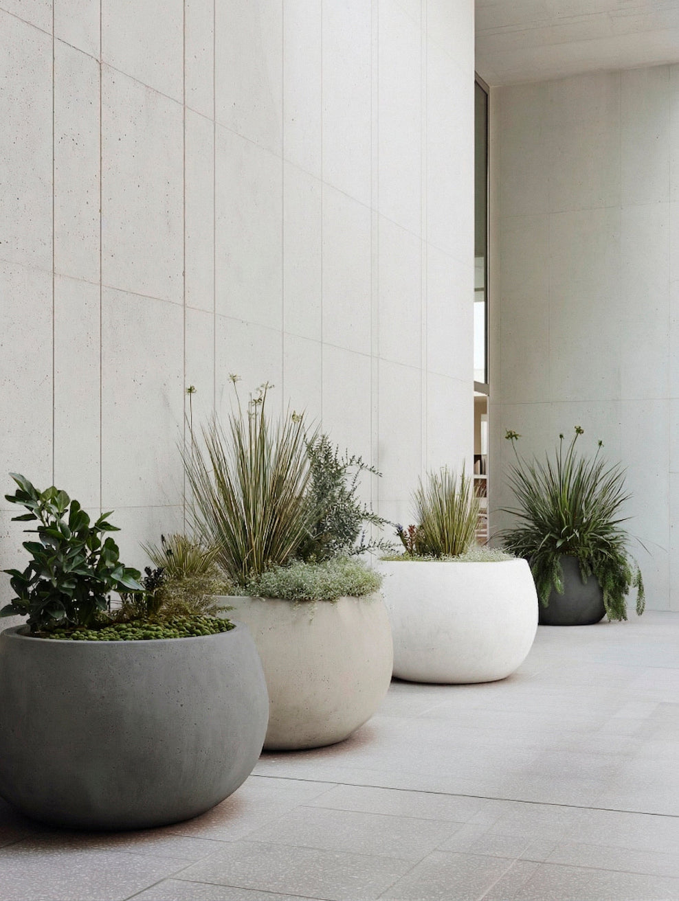 Contemporary entrance with sculptural monochrome garden planters in neutral tones planted with ornamental grasses and architectural greenery. | © Bauwerk Imagined, Christoph Neumann