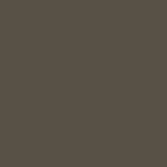 Lime Paint - Bungle Bungle