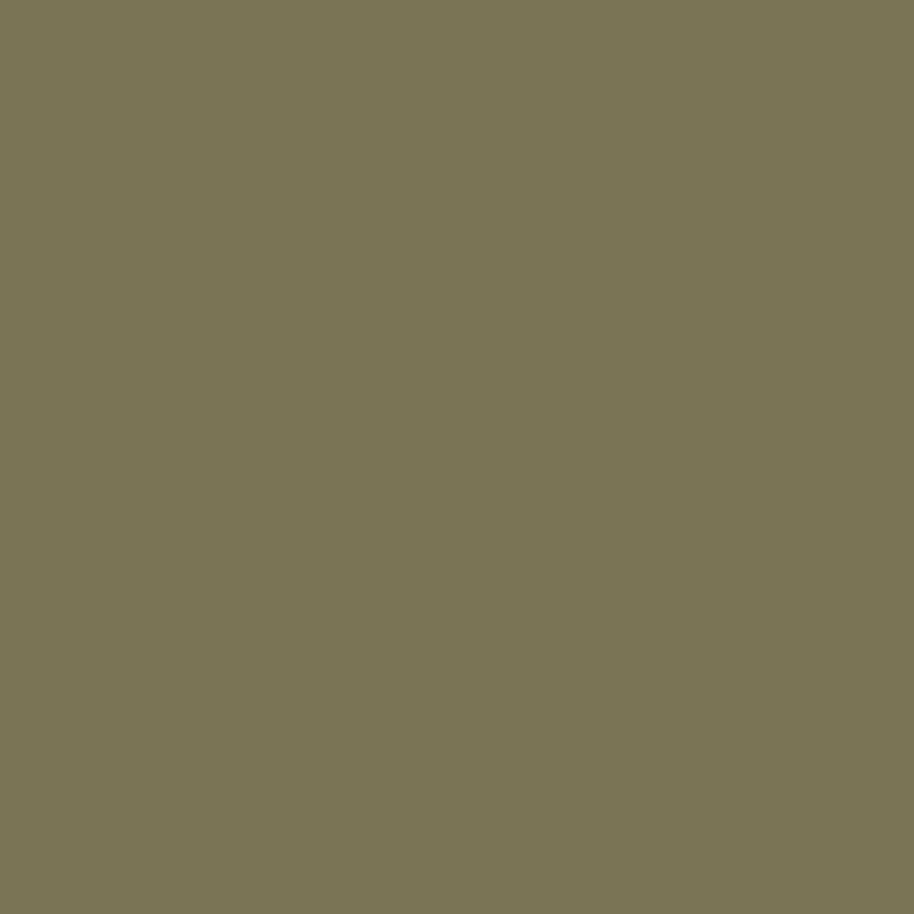 Colour Card - Olive