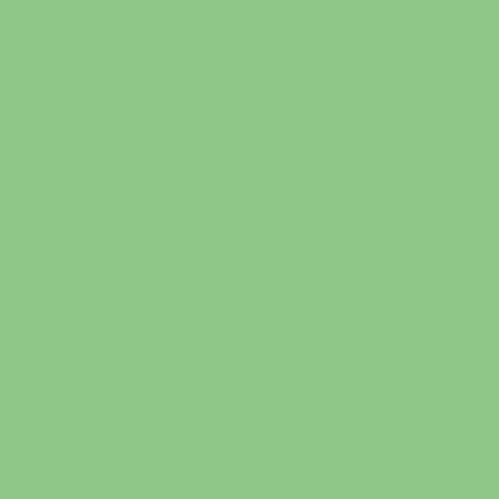 Lime Paint - Apple Mint